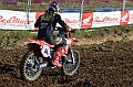 _ROB6804 (Copy)